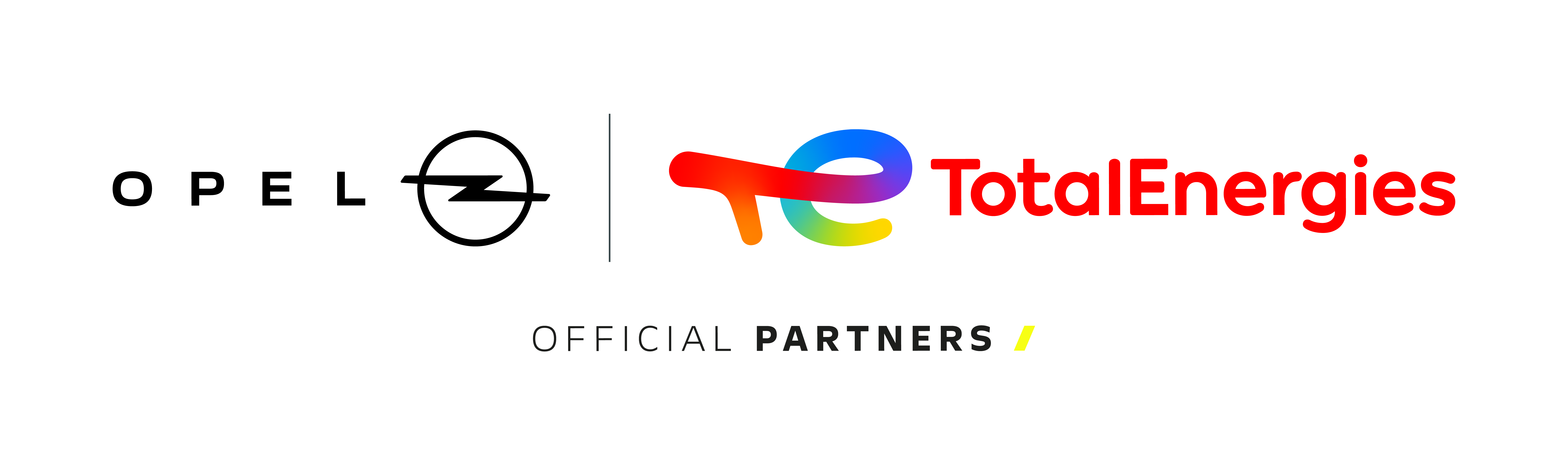 Partner Logo